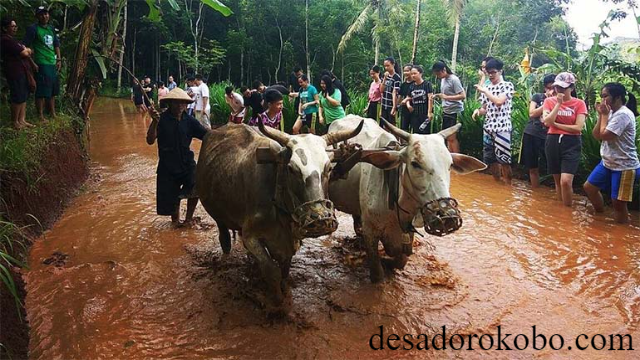 Pesona Desa Wisata Brayut Destinasi Budaya di Sleman