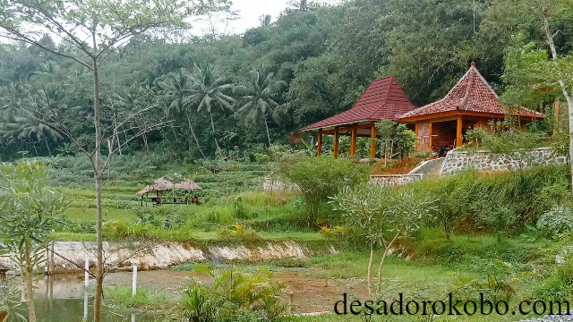 Menyelami Keindahan dan Budaya di Wisata Tamansari Banyumas